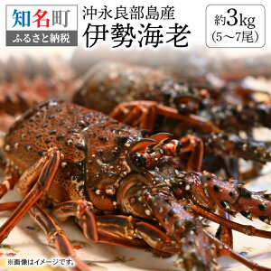 yӂ邳Ɣ[ŁziǕY ɐCV 3kg 5~7 1000g CV Gߌ  Ⓚ }Ⓚ  bk lC  񂹃O {C ĂCV ݂` ĂȂ  j 