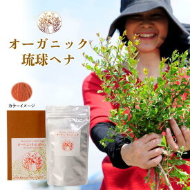 【ふるさと納税】オーガニック琉球ヘナ「オレンジ」or「ナチュラルブラウン」 | 沖縄　那覇市　美容 ヘアケア スタイリング 人気 オーガニック ヘナ ナチュラル 健康