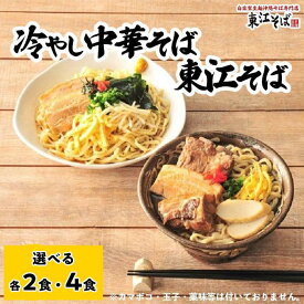 【ふるさと納税】「東江そば_2食 & 冷やし中華そば_2食」or「東江そば_4食 & 冷やし中華そば_4食」セット | 沖縄 那覇市 冷やし中華 沖縄 そば 麺類 人気沖縄そば 麺類 生麺 半生麺 魚介類 練り物 人気 東江そば