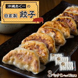 【ふるさと納税】沖縄あぐーの自家製餃子 | 沖縄県 那覇市 ふるさと 納税 支援 支援品 返礼品 返礼 お礼の品 楽天ふるさと 沖縄土産 沖縄お土産 お土産 おみやげ 取り寄せ お取り寄せ グルメ お取り寄せグルメ ご当地 ご当地グルメ あぐー豚 餃子 ギョウザ ぎょうざ