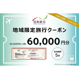 【ふるさと納税】沖縄県那覇市　日本旅行　地域限定旅行クーポン60,000円分 | 沖縄 那覇市 旅行 クーポン 宿泊 チケット 人気 日本旅行 旅行券