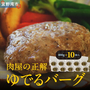 yӂ邳Ɣ[Łz̐ ło[O 100g×10 pCibv|[Ñno[O | ꌧY ؓ no[O Ⓚ yY  ꌧ Xps pCibv