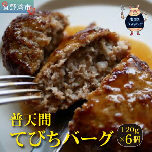 �y�ӂ邳�Ɣ[�Łz���V�ԂĂт��n���o�[�O 120g×6�� | BISTROT LIERRE BLANC II | ���ꌧ�Y �ؓ� �Ăт� �ؑ� �n���o�[�O | �Ⓚ �^��p�b�N ����y�Y ���ꌧ �X��p�s ��������