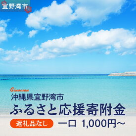 【ふるさと納税】【返礼品なし】沖縄県宜野湾市ふるさと応援寄附金 一口 1,000円〜 寄附のみの応援 寄附のみ 返礼品なし 返礼品無し 御礼品なし 御礼品無し