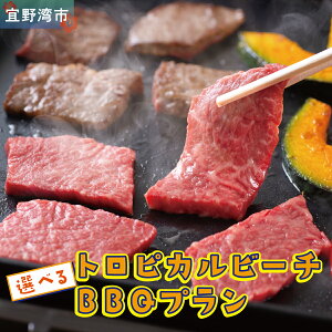 yӂ邳Ɣ[ŁzgsJr[` Iׂ BBQv yA 2 4 8 p | ͂PMp[gi[Y | s  Xp ̂ | Ƒ t@~[ o[xL[ C r[` r[`p
