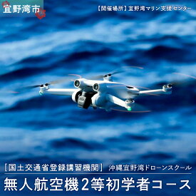 【ふるさと納税】ドローン講習 無人航空機二等初学者コース | ドローン教習所 マリアクリエイト 宜野湾マリン支援センター | 国土交通省 認定 登録機関 | ドローン 操縦士 パイロット | 資格 取得 実践 勉強 試験 講習 学習 飛行訓練 技能証明 オンライン e-ラーニング