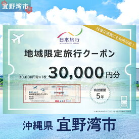 【ふるさと納税】沖縄県 宜野湾市 日本旅行 地域限定旅行クーポン (紙券)【30,000円分】 | ふるさと納税 旅行 沖縄 ホテル 旅行券 トラベル ふるさと チケット 宿泊 宿泊券 宿 観光 飛行機 送料無料 リゾート ファミリー ペア ダイビング 宜野湾 普天間 トロピカルビーチ