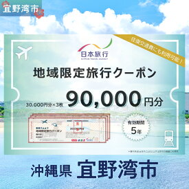 【ふるさと納税】沖縄県 宜野湾市 日本旅行 地域限定旅行クーポン (紙券)【90,000円分】 | ふるさと納税 旅行 沖縄 ホテル 旅行券 トラベル ふるさと チケット 宿泊 宿泊券 宿 観光 飛行機 送料無料 リゾート ファミリー ペア ダイビング 宜野湾 普天間 トロピカルビーチ