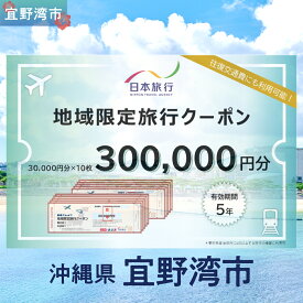 【ふるさと納税】沖縄県 宜野湾市 日本旅行 地域限定旅行クーポン (紙券)【300,000円分】 | ふるさと納税 旅行 沖縄 ホテル 旅行券 トラベル ふるさと チケット 宿泊 宿泊券 宿 観光 飛行機 送料無料 リゾート ファミリー ペア ダイビング 宜野湾 普天間 トロピカルビーチ