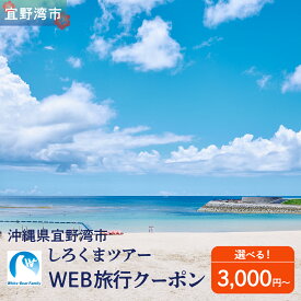【ふるさと納税】沖縄県 宜野湾市 しろくまツアーで利用可能なWEB旅行クーポン | ふるさと納税 旅行 沖縄 ホテル 旅行券 トラベル ふるさと チケット 宿泊 宿泊券 宿 観光 飛行機 送料無料 リゾート ファミリー ペア ダイビング 宜野湾 普天間 トロピカルビーチ