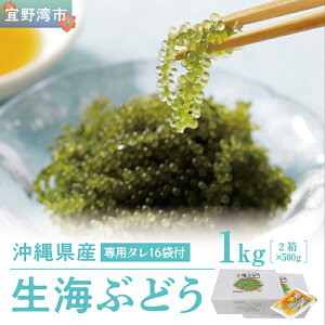 yӂ邳Ɣ[ŁzyꌧYzCԂǂ 1kg (500g×2)
