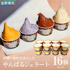 【ふるさと納税】沖縄の素材を活かしたやんばるジェラート 6〜16個セット | ジェラート 沖縄 アイス 冷凍 Rimin