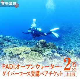 【ふるさと納税】【宜野湾】　PADIオープンウォーター・ダイバーコース受講ペアチケット