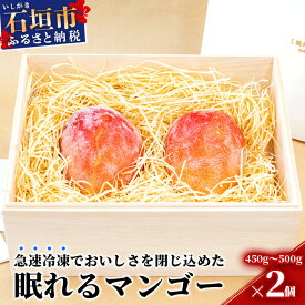 【ふるさと納税】石垣の恵 眠れるマンゴー(450g～500g)2玉 専用箱入 KB-31