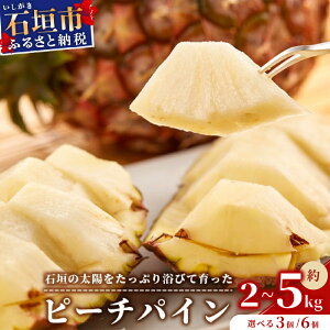 yӂ邳Ɣ[Łzs\񁄐Ί_pC s[` 3`6Zbgy2026N5{甭zpCibv s[`pC pC s[` ʕ  t[c ʎ Y ꌧ  Ί_ 