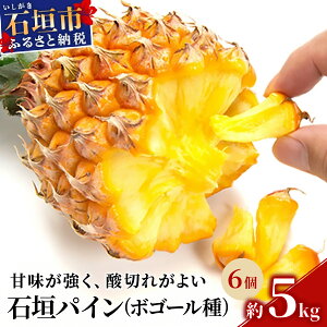 yӂ邳Ɣ[ŁzystzΊ_ pCi {S[ j3(3kg) / 6(5kg)y2026N5{`6{\z| pCibv pCAbv XibN pC ʕ  t[c 