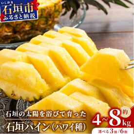 【ふるさと納税】＜先行受付＞石垣パイン ハワイ種 3個 or 6個 セット ＜2026年7月上旬以降発送＞ | パイナップル パイン ハワイ種 4kg 8kg 果物 くだもの フルーツ 果実 国産 沖縄県 沖縄 石垣 石垣島 石垣市 ふるさと 人気 送料無料