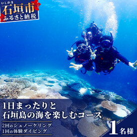 【ふるさと納税】 石垣島 で 体験ダイビング 1日コース MO-1