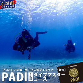 【ふるさと納税】【ダイビングライセンス】PADIレスキューダイバーコース 7〜8日間 1名様 MO-5