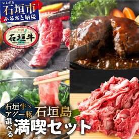 【ふるさと納税】＜レビューCP対象商品＞石垣島満喫 石垣牛 アグー豚(南ぬ豚) セット | ハンバーグ 切り落とし 焼肉 しゃぶしゃぶ 牛肉 セット 和牛 黒毛和牛 石垣牛 豚肉 あぐー豚 アグー豚 あぐ〜豚 南ぬ豚 豚 沖縄 石垣