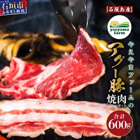 【ふるさと納税】石垣島産 やえやまファームのアグー豚 焼肉セット 計600g（ロース200g＋肩ロース200g＋バラ200g） 冷凍 国産豚 豚肉 沖縄県石垣市 南ぬ豚(パイヌブタ) 肉 家庭用 BBQ 2人前 送料無料 E-23