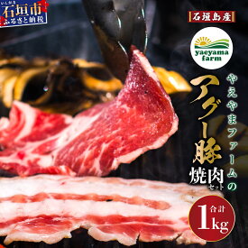 【ふるさと納税】石垣島産 やえやまファームのアグー豚 焼肉セット 計1kg（ロース500g＋バラ500g） 冷凍 国産豚 豚肉 沖縄県石垣市 南ぬ豚(パイヌブタ) 肉 家庭用 BBQ 送料無料 E-24
