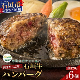 【ふるさと納税】やえやまファームの石垣牛ハンバーグ 6個セット ＜石垣島認定特産品＞ 沖縄県石垣市 送料無料 石垣牛 ハンバーグ E-27