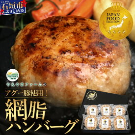 【ふるさと納税】石垣島産 やえやまファームのアグー豚 南ぬ豚 100% ハンバーグ セット 140g × 6個 計840g ＜石垣島認定特産品＞ | ハンバーグ アグー豚 国産 豚肉 ブランド豚 冷凍 個包装 贈答用 ギフト 沖縄県 沖縄 石垣 石垣島 石垣市 人気