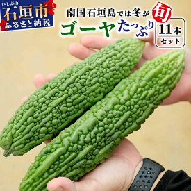 【ふるさと納税】南国石垣島では冬が旬！朝採れ「ゴーヤ」大11本セット！減農薬！最優秀賞受賞の農家から！2027年1月～2027年4月まで順次発送｜沖縄県石垣市 石垣島産 フレッシュ ゴーヤ 減農薬 特別栽培 野菜 採れたて 離島のいいもの 沖縄いいもの石垣島