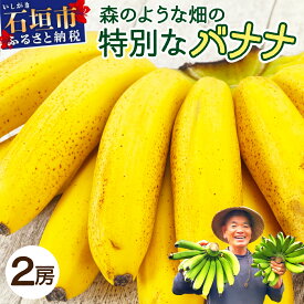 【ふるさと納税】希少！こだわりの水を使い「森ような畑」で栽培する、仲原さんのバナナ ｜沖縄県石垣市 沖縄 石垣 石垣島 石垣島産 農薬不使用 化学肥料不使用 離島のいいもの 沖縄いいもの石垣島 OI-16