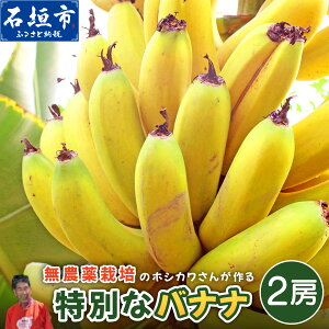 �ԗ�i�摜