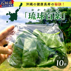 【ふるさと納税】＜先行予約＞2026年2月順次発送／沖縄の健康長寿の秘訣「琉球百薬（おかわかめ）」10袋！農薬を使わない栽培方法を続けるミネイさんの野菜｜沖縄 石垣島 石垣島産 野菜 農薬不使用 離島のいいもの 沖縄のいいもの石垣島 送料無料 OI-25