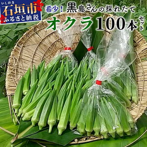 yӂ邳Ɣ[Łz󏭁I̍̂ꂽăIN100{Zbgiʍ͔|A͔|Ԓ_sgpj10{ ꌧ Ί_s  Ί_ Ί_   IN  ̂ꂽ t