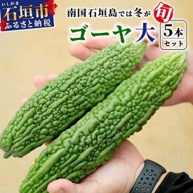 【ふるさと納税】南国石垣島では冬が旬！朝採れ「ゴーヤ」大5本セット！減農薬！最優秀賞受賞の農家から！2026年1月上旬〜2026年2月中旬頃まで順次発送｜沖縄県石垣市 石垣島産 フレッシュ ゴーヤ 減農薬 特別栽培 野菜 採れたて 離島のいいもの 沖縄いいもの石垣島 OI-9