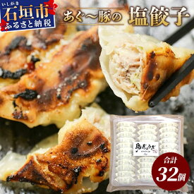 【ふるさと納税】あぐー豚 ぎょうざ 32個【ブランド豚 アグー豚 使用】 ぎょうざ 餃子 焼き餃子 水餃子 焼餃子 惣菜 おかず GS-4