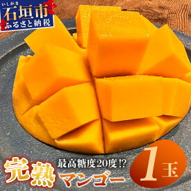 【ふるさと納税】《2026年6月下旬〜7月下旬発送》【先行予約】最高糖度20度！？ 完熟！3Lサイズ 石垣島マンゴー 1玉入り約400g | 沖縄 石垣島 石垣 八重山 マンゴー 完熟マンゴー 期間限定 数量限定 TF-10-1_R8