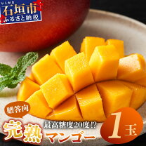 楽天市場】沖縄 マンゴー 3lの通販