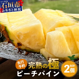 【ふるさと納税】《2026年4月以降順次発送》最高糖度20度！？ 完熟の極 石垣島産パイナップル　ピーチパイン2個セット | 沖縄 石垣島 石垣 八重山 パイン ピーチパイン 期間限定 数量限定 沖縄県 石垣島産 TF-19-1_R8