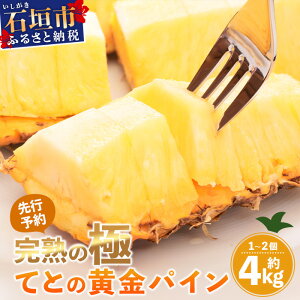 yӂ邳Ɣ[Łzs2026N5{ȍ~tɓMIH n̋ ĂƂ̉pCʖ4kg |  Ί_ S[f  pC pCibv n  Zbg t[c fU[