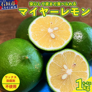 yӂ邳Ɣ[Łzs2025N9{ȍ~t̐؂}C[ 1kg (6`9) |  Ί_ ʌ t[c  }C[ C[ TF-26-1