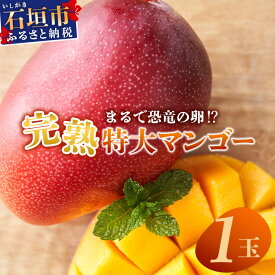【ふるさと納税】《2026年6月下旬〜7月発送》【先行予約】最高糖度20度!? まるで恐竜の卵!?完熟超特大マンゴー1個入り | 沖縄 石垣島 石垣 八重山 マンゴー 完熟 太玉 特大 期間限定 数量限定 TF-29_R8