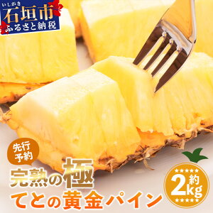 yӂ邳Ɣ[Łzs2026N5{ȍ~t[s\] ɓMIH n̋ ĂƂ̉pCʖ2kg |  Ί_ S[f pC pCibv n Zbg t[c fU[