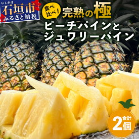 【ふるさと納税】《2026年5月〜7月順次発送》[先行予約] 最高糖度20度以上！？ 完熟の極 石垣島産ピーチパインとジュワリーパインの食べ比べセット | 沖縄 石垣 ジュワリー ピーチ パイン パイナップル 完熟 セット フルーツ デザート 食べ比べ TF-32_R8
