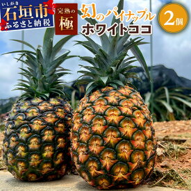 【ふるさと納税】《2026年5月以降順次発送》[先行予約] 最高糖度20度！？ 完熟の極 石垣島産幻のパイナップル ホワイトココ2個セット [マツコの知らない世界で絶賛] | 沖縄 石垣島 石垣 八重山 パイン パイナップル 期間限定 数量限定 TV テレビ 紹介 マツコ TF-2_R8