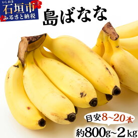 【ふるさと納税】＜選べる容量＞＜2026年発送 先行予約＞バナナ好きに届けたい！！届いてすぐ食べられる、もっちり食感がやみつきの希少な国産『プレミアム島ばなな』を1房丸ごとお届け！！ 800g〜2kg（約8〜20本） | バナナ 島バナナ フルーツ 沖縄県 石垣島