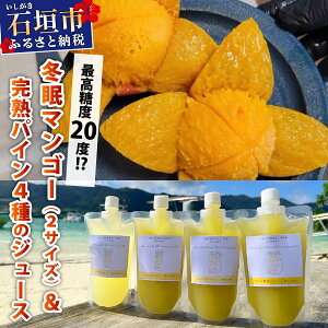 yӂ邳Ɣ[Łzōx20xIH~}S[A~j}S[ƊnpC4̃W[X | }S[ pC pCibv W[X t[c gsJ ӂ邳Ɣ[ ӂ邳 ꌧ 