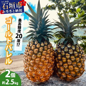 yӂ邳Ɣ[ŁzIׂށEeʁIs2026N5{`6{tn Ί_YpCibv S[hoorTh`F | pC pCibv t[c gsJ ӂ邳Ɣ[ 