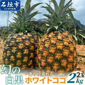 【ふるさと納税】《2027年5月下旬以降順次発送》香りに溺れる。幻の白果 ホワイトココ 1〜2玉 (約700g〜2kg) [マツコの知らない世界で絶賛] | 沖縄 石垣島 石垣 八重山 パイン パイナップル 期間限定 数量限定 TV テレビ 紹介 マツココ TF-002 TF-112