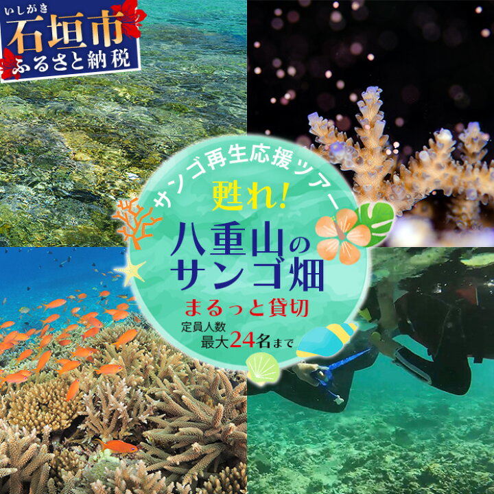 【ふるさと納税】サンゴ再生応援ツアー～甦れ！八重山のサンゴ畑～（24名まで）JL-2沖縄八重山八重山諸島石垣島サンゴサンゴ礁応援ツアーチケット
