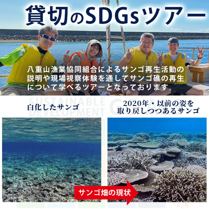 【ふるさと納税】サンゴ再生応援ツアー～甦れ！八重山のサンゴ畑～（24名まで）JL-2沖縄八重山八重山諸島石垣島サンゴサンゴ礁応援ツアーチケット